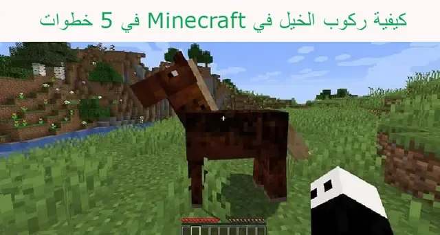 كيفية ركوب الخيل في Minecraft في 5 خطوات