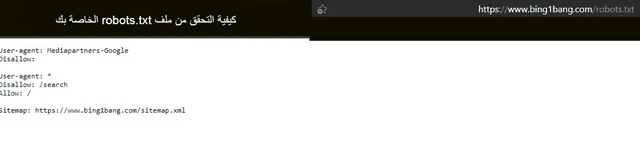 How To Add Custom Robots.txt File in Blogger?