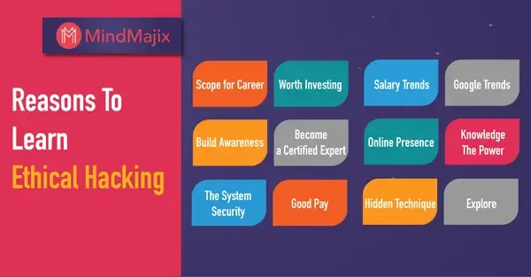 أسهل طريقة لتعلم الهكر الأخلاقي واكتشاف الثغرات خطوة بخطوة