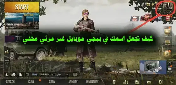 How to hide the name in the game PUBG Mobile