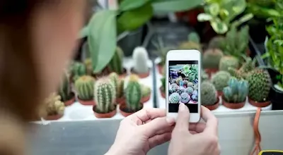 نصائح للتصوير الاحترافي باستخدام الموبايل